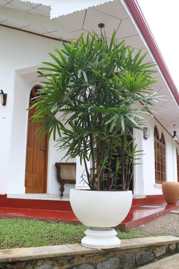 Ocean Villa Dikwella Exterior foto